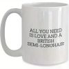 British Semi-Longhair Cat Lover Mug | Unique Valentine'S Gift | All You Need is Love and a White Ceramic Mug for Him