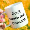 1pc one, do not disturb, farmer 11 oz fun coffee cup