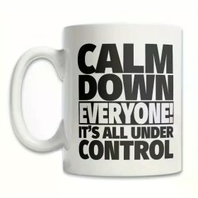1pc Funny Calm Down Everyone Mug Funny Sarcastic Mugs Funny Gift For Boss Coworker G