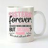 Sisterhood 11 Oz Ceramic Cup Sincere Message You And I Are Sisters Perfect for Coffee And Tea,