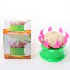 1pc Small Steamed Dumpling Stuffed Meatfilled Buns Maker Mold Plus Free Dumpling Mould Kitchen Tool