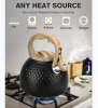 HZDH0182A2.8L induction cooker whistle kettle