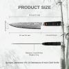 Qulajoy 8 Inch Japanese Chef Knife,67 Layers Damascus VG-10 Steel Core,Professional Hammered Kitchen Knife